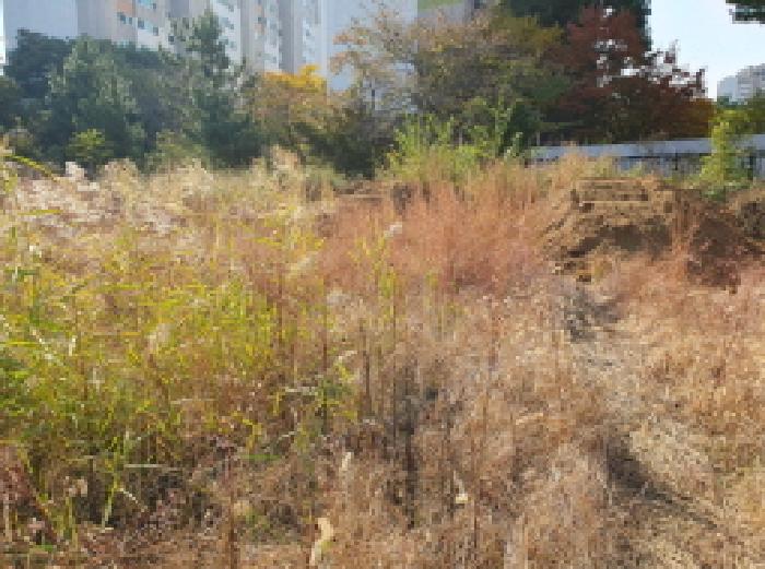 2025타경31837 사진