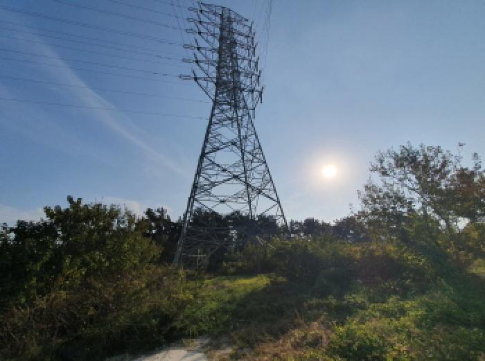 2025타경31853 사진