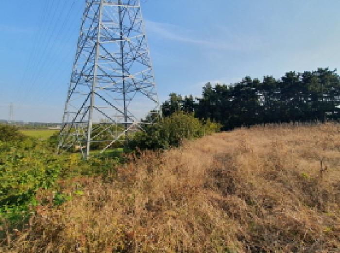 2025타경31853 사진