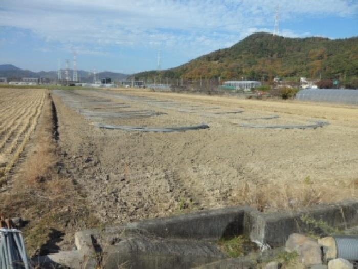2025타경32001 사진