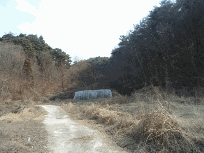 2025타경32009 사진