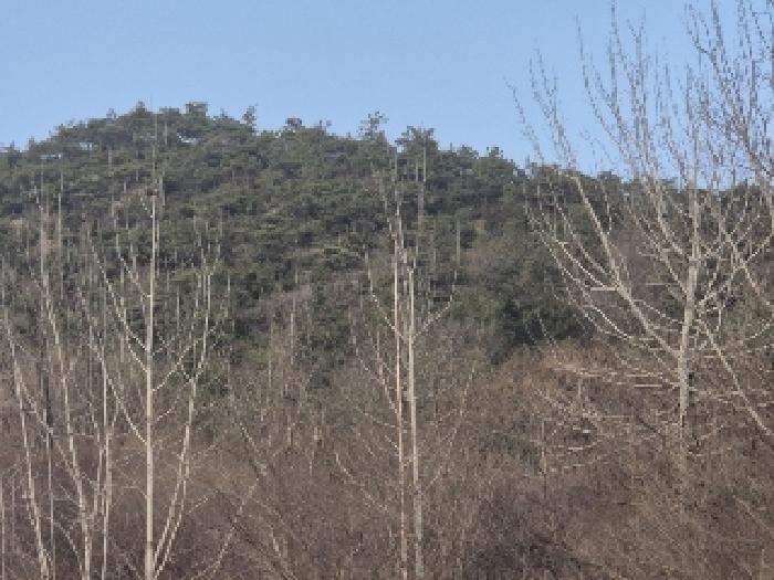 2025타경32043 사진