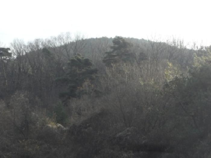 2025타경32056 사진