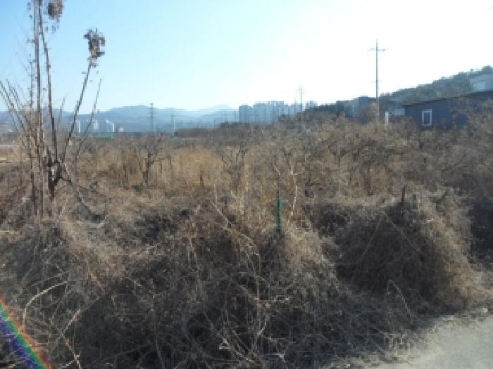 2025타경32247 사진