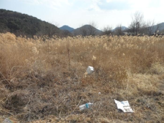 2025타경32248 사진