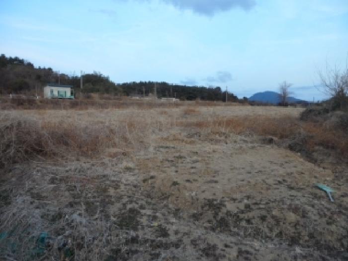 2025타경32283 사진