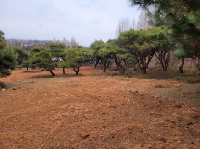 2025타경32858 사진