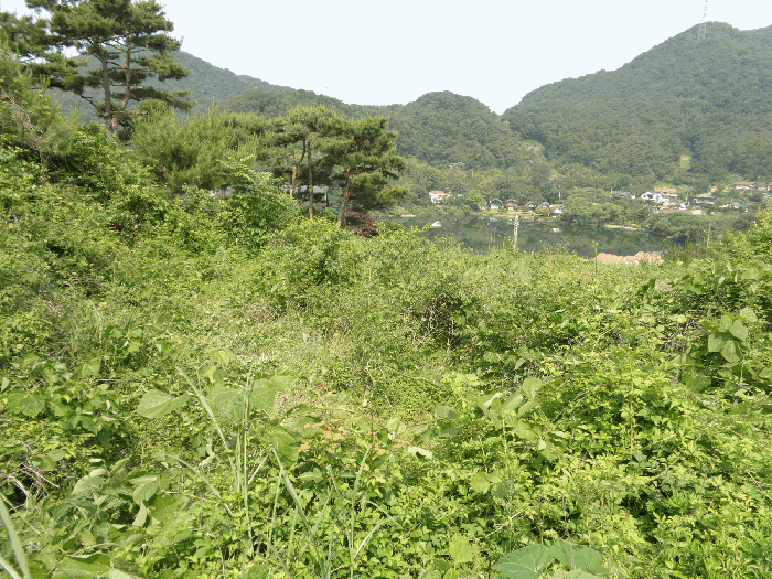 2025타경32892 사진