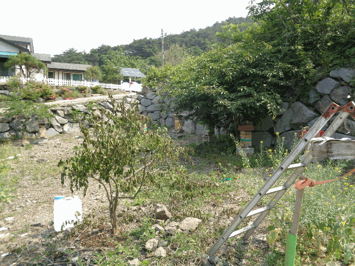 2025타경32892 사진