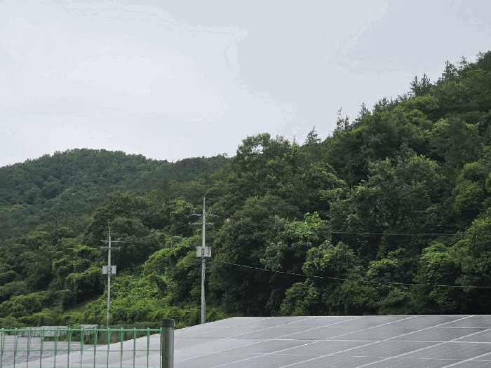2025타경33189 사진