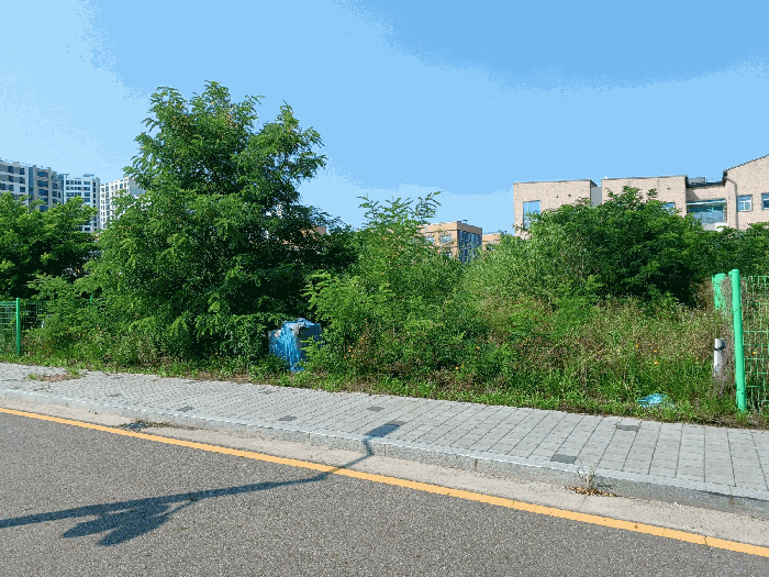 2025타경33976 사진