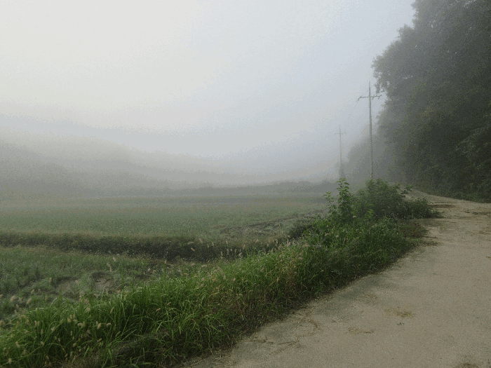 2025타경34042 사진