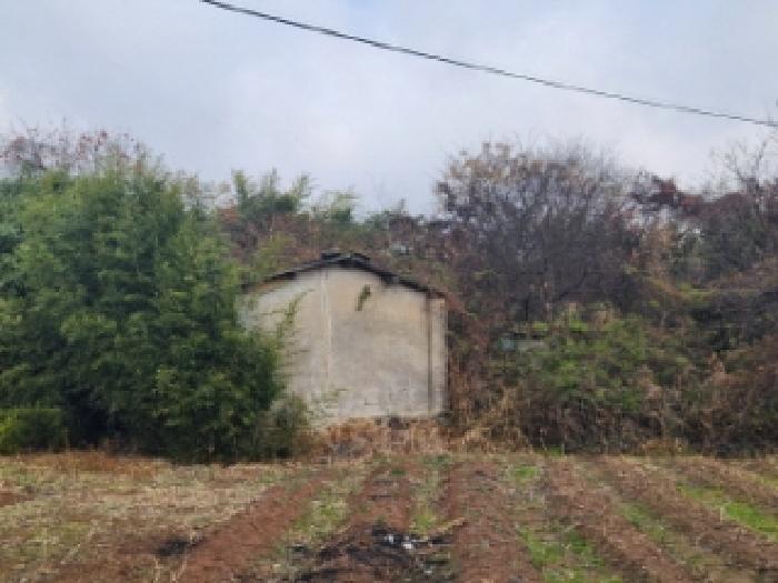 2025타경34463 사진