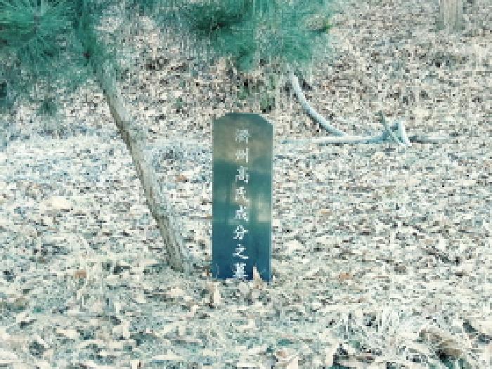 2025타경40392 사진