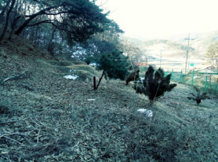 2025타경40392 사진