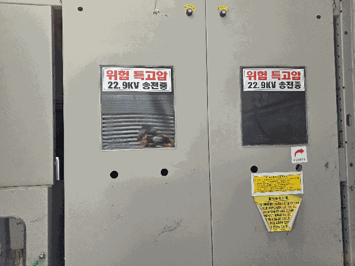 2025타경41128 사진