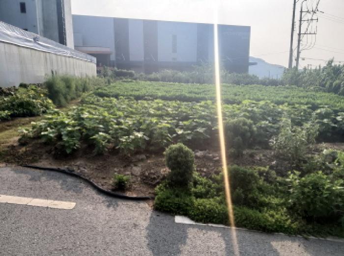 2025타경42213 사진