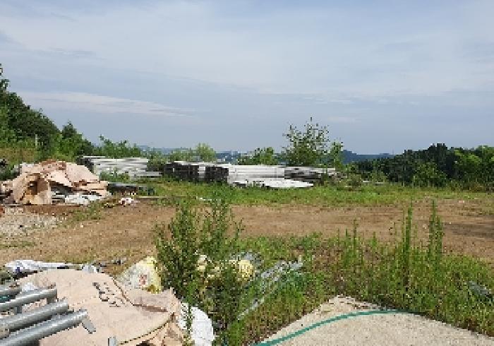 2025타경42233 사진