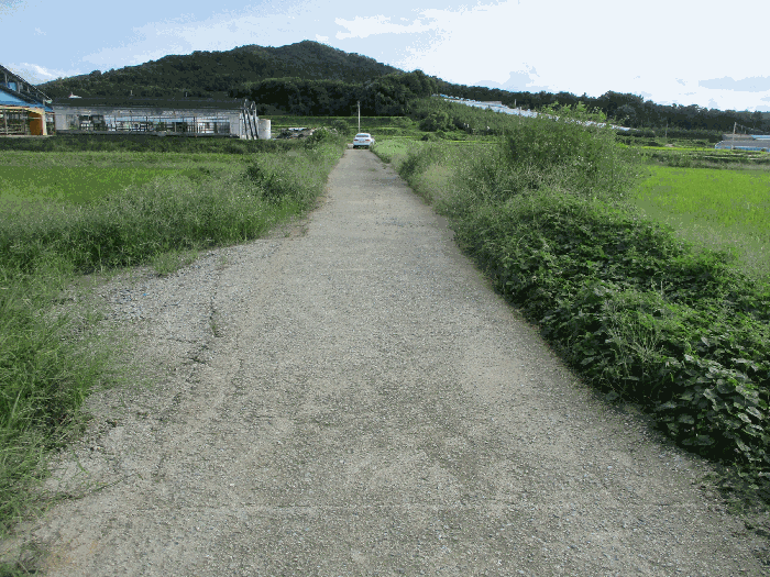 2025타경42523 사진