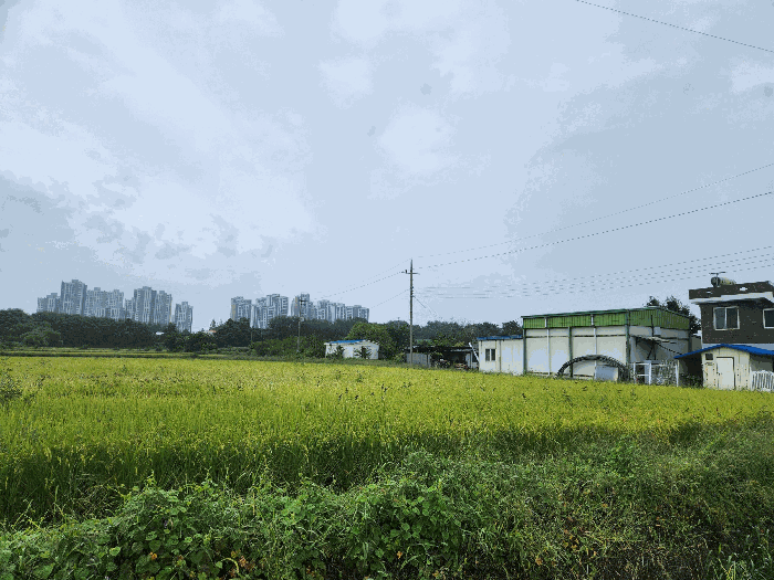 2025타경42582 사진