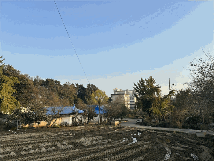 2025타경42828 사진