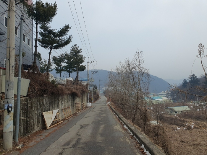 2025타경50096 사진