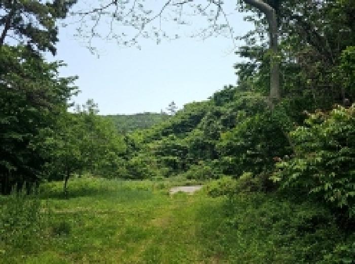 2025타경50468 사진