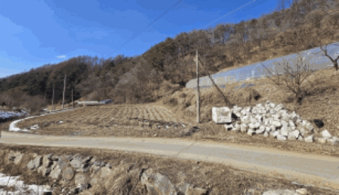 2025타경50505 사진