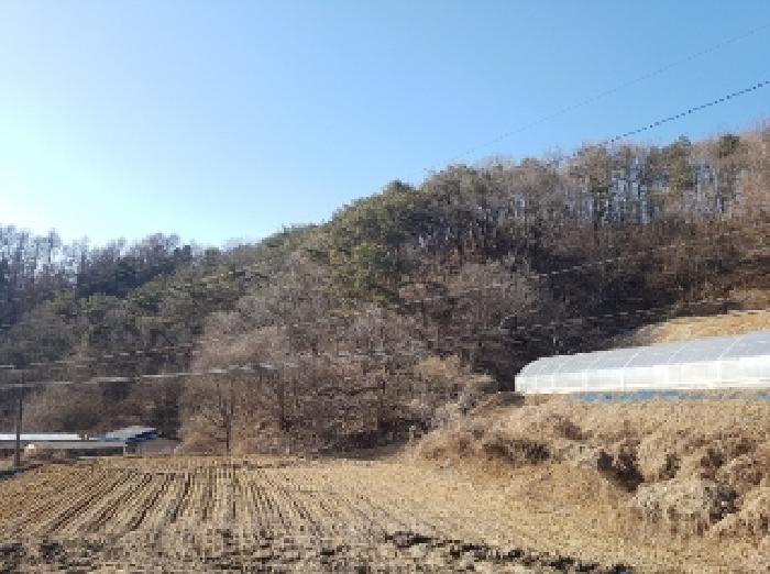 2025타경50505 사진