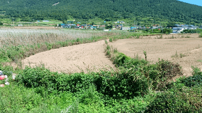 2025타경50546 사진