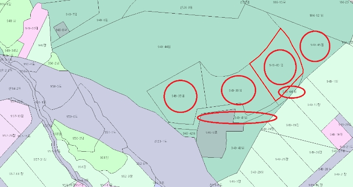2025타경50567 사진