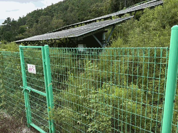 2025타경50593 사진