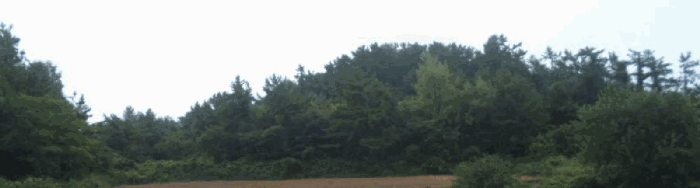 2025타경50601 사진
