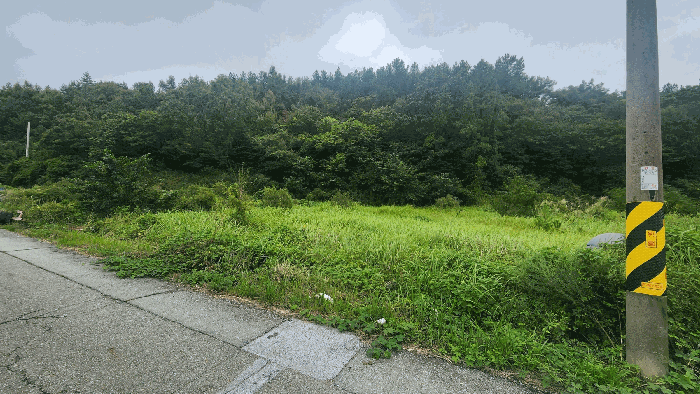 2025타경50647 사진