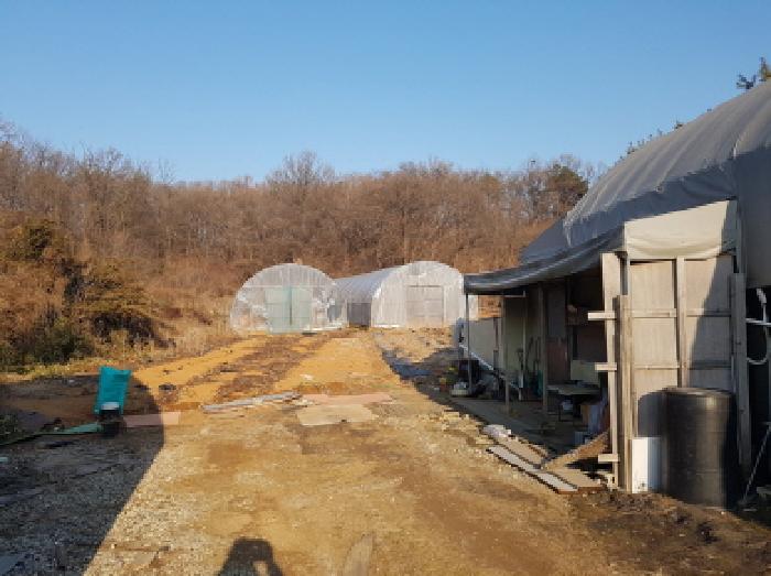 2025타경50868 사진