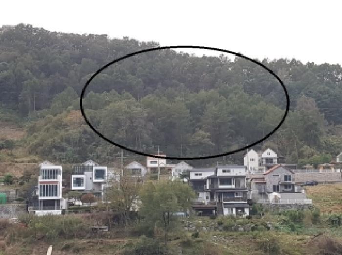 2025타경50944 사진