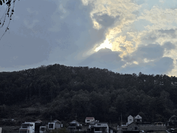 2025타경50944 사진