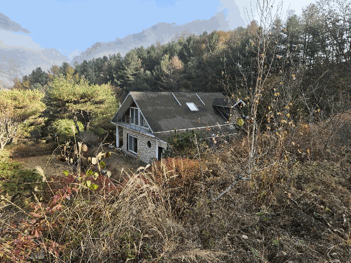 2025타경50974 사진