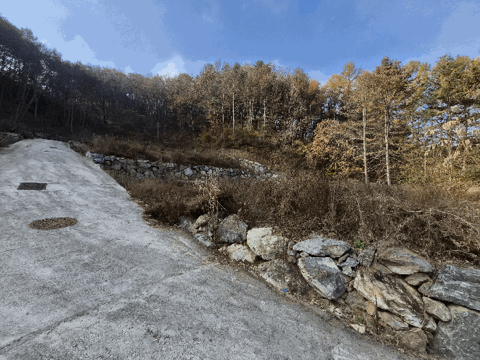 2025타경50974 사진