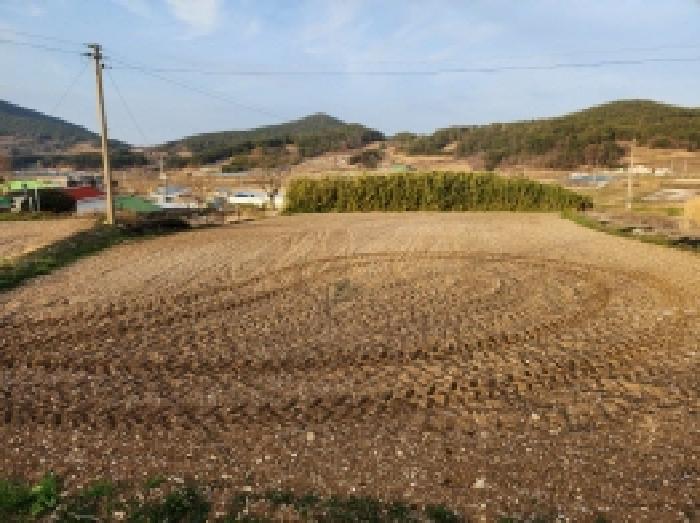 2025타경51156 사진