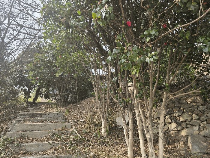 2025타경51173 사진