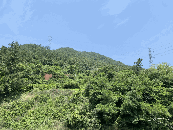 2025타경51189 사진
