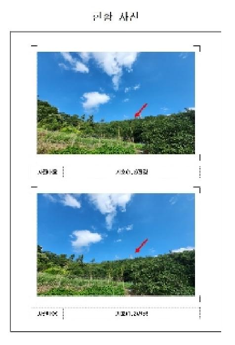 2025타경51221 사진