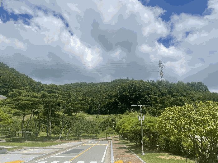 2025타경51221 사진