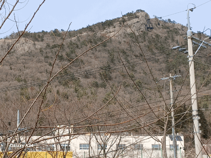 2025타경51233 사진