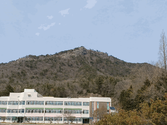2025타경51233 사진