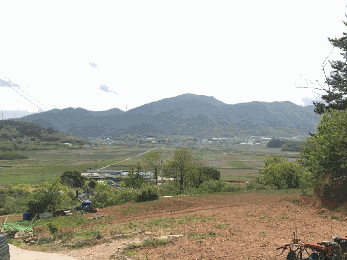 2025타경51324 사진