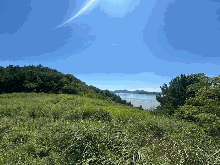 2025타경51353 사진