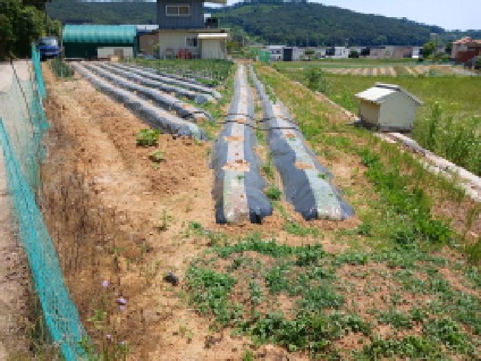 2025타경51358 사진