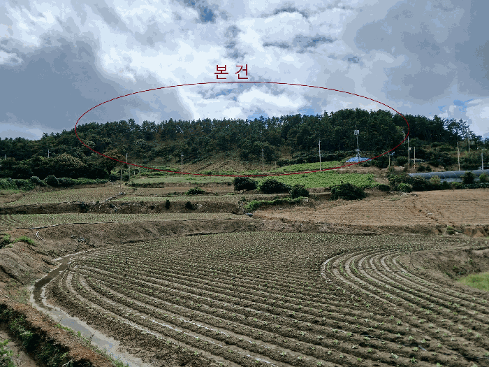 2025타경51380 사진